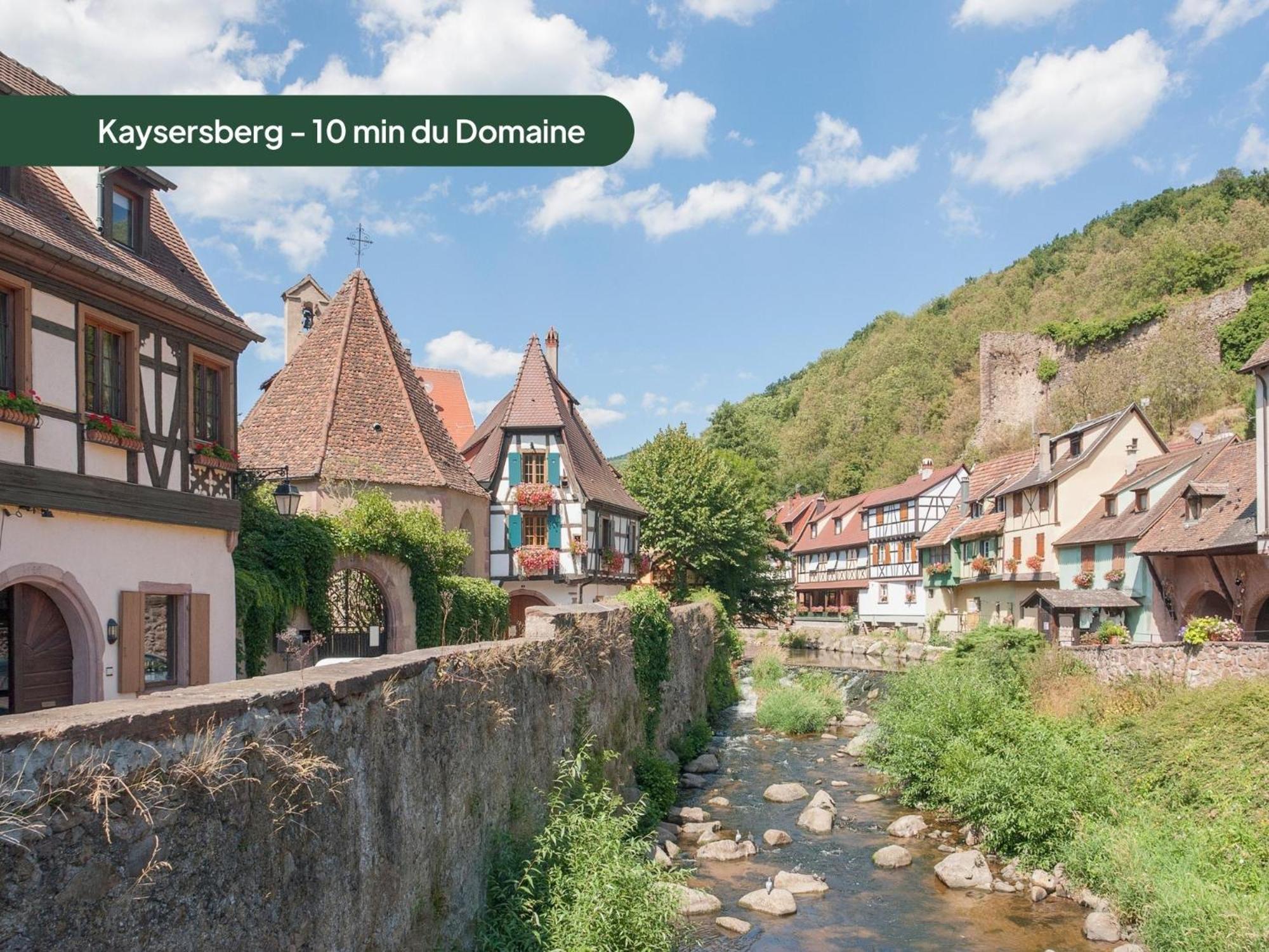 Domaine Des Constellations - Tiny & Bains Nordiques Holiday home Orbey