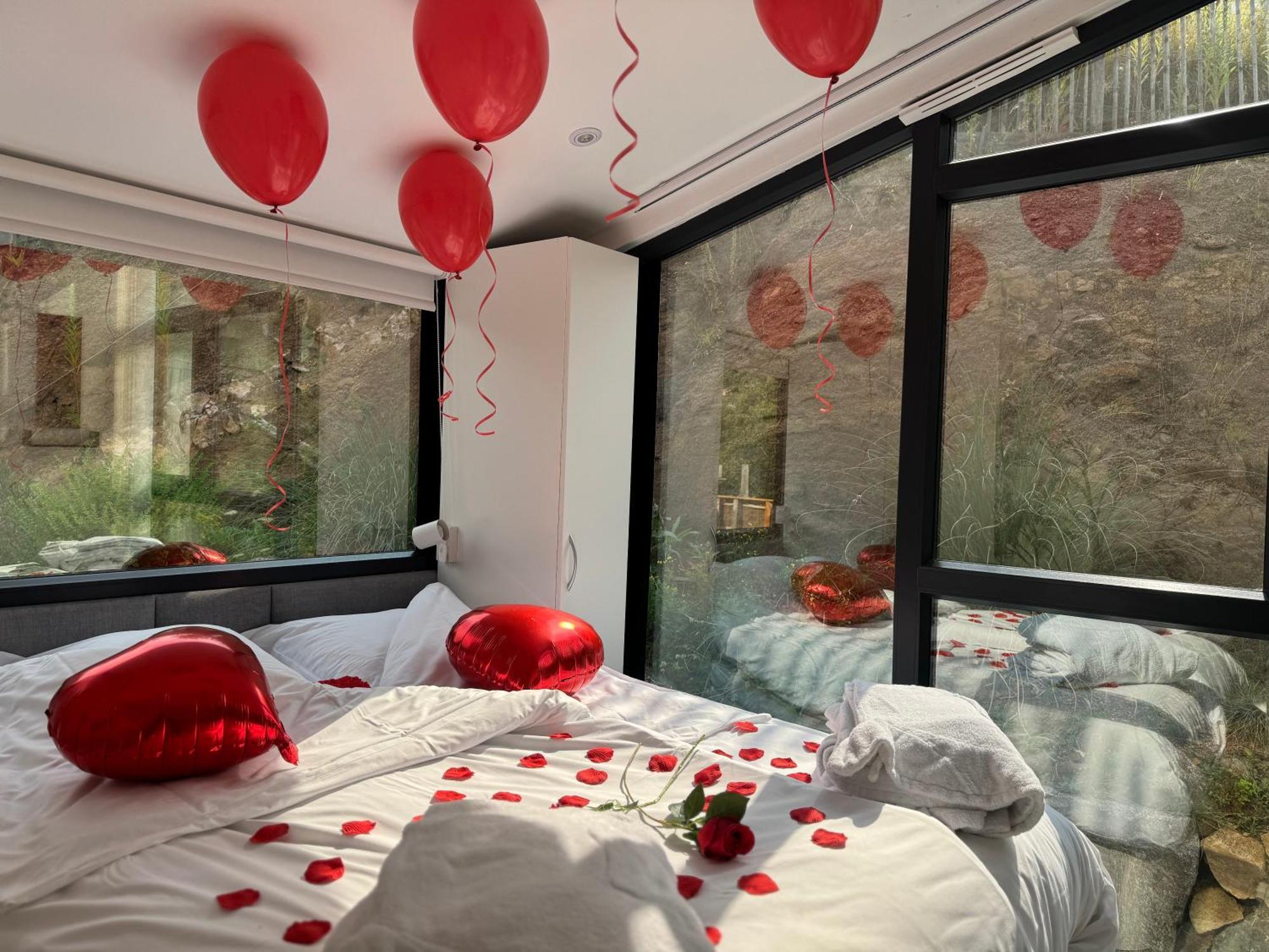 Domaine Des Constellations - Tiny & Bains Nordiques Holiday home